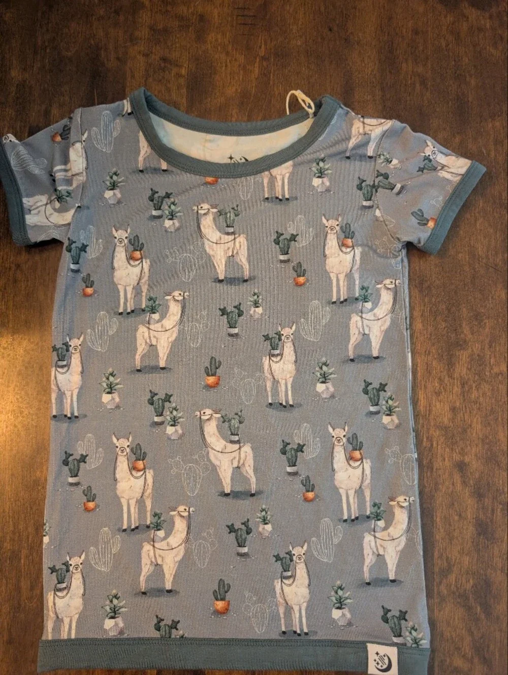 Big Dreams Little Jammies Kids Blue Llama Print Bamboo PJ Set/ Nwt